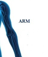 Click here for information on shoulder and arm injuries